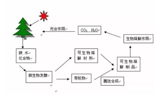 动植物降解过程（生物降解过程的三个阶段）-图3