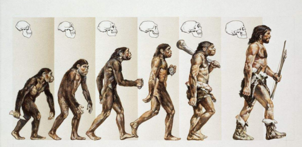 人进化过程图片大全（人进化史图）-图2