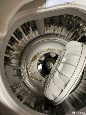海尔洗衣机桶自洁过程（海尔洗衣机桶自洁过程中开盖了怎么办）-图2