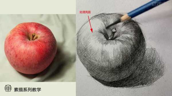 红苹果素描过程（红苹果素描过程怎么画）-图2