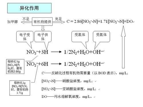 硝化过程（硝化过程和反硝化过程）-图2