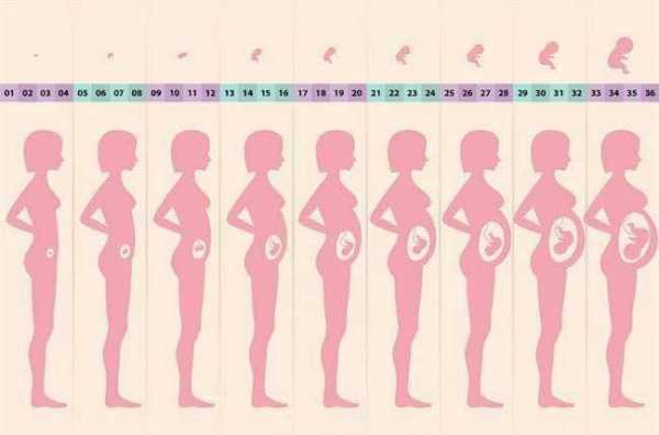 母亲受孕过程（母亲怀孕时的身体变化）-图1