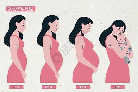 母亲受孕过程（母亲怀孕时的身体变化）-图2